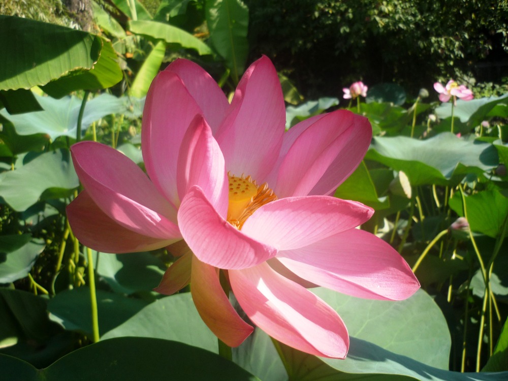 Фото базы отдыха 2